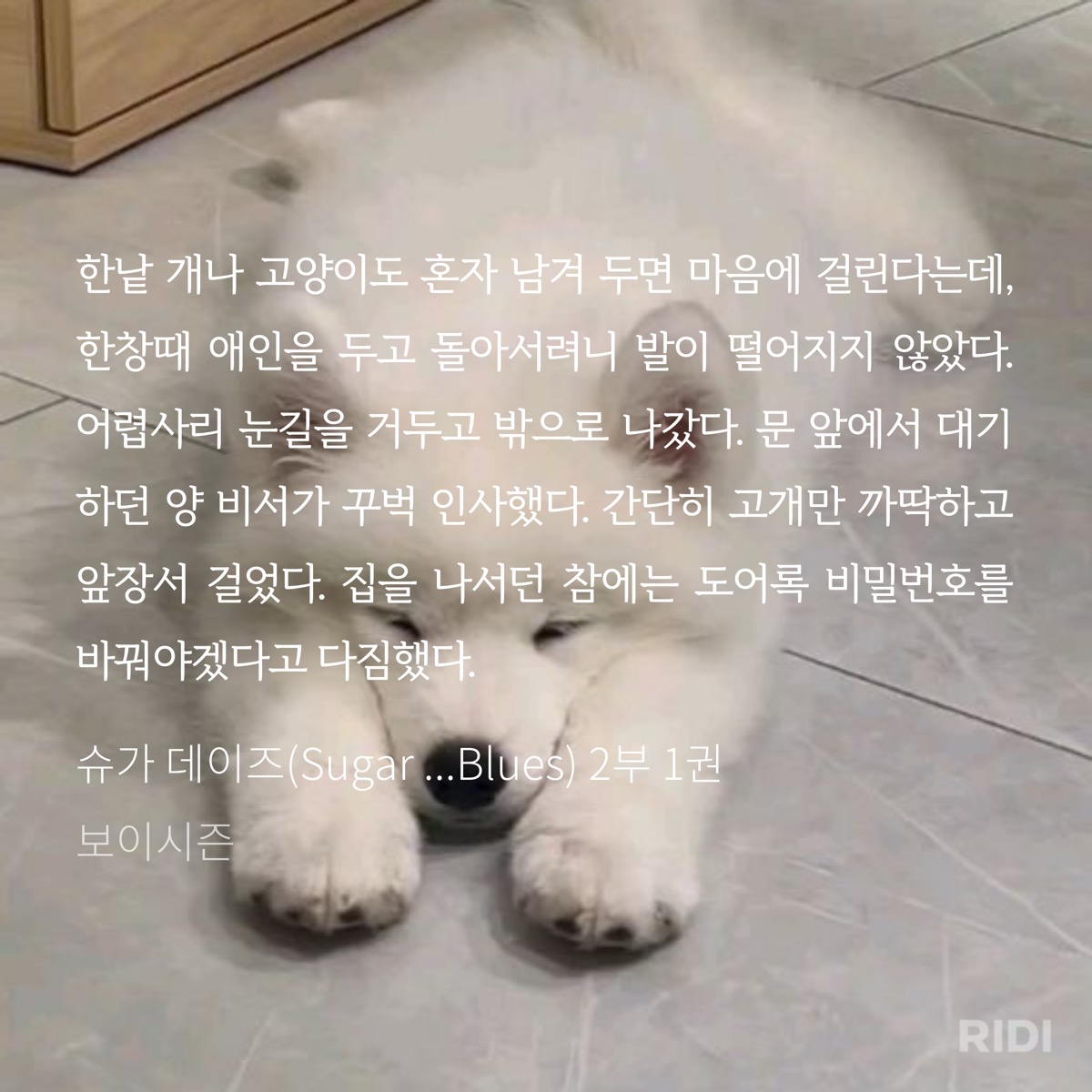 WMZHMl