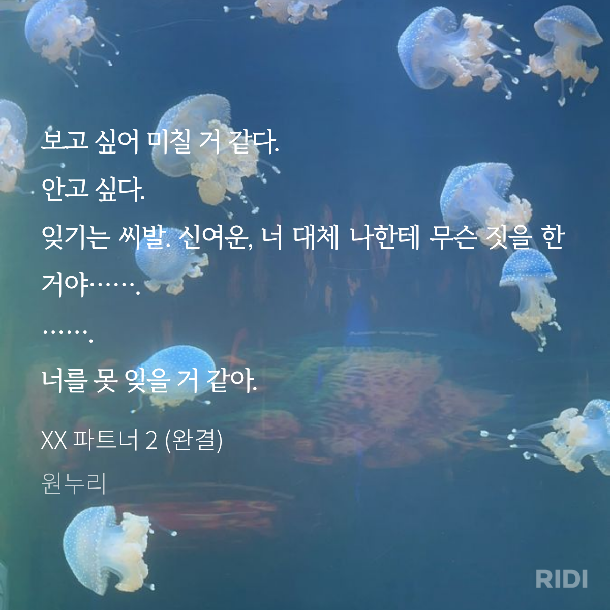 WNTBMq