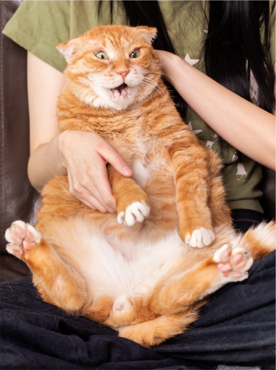 WNnwYP