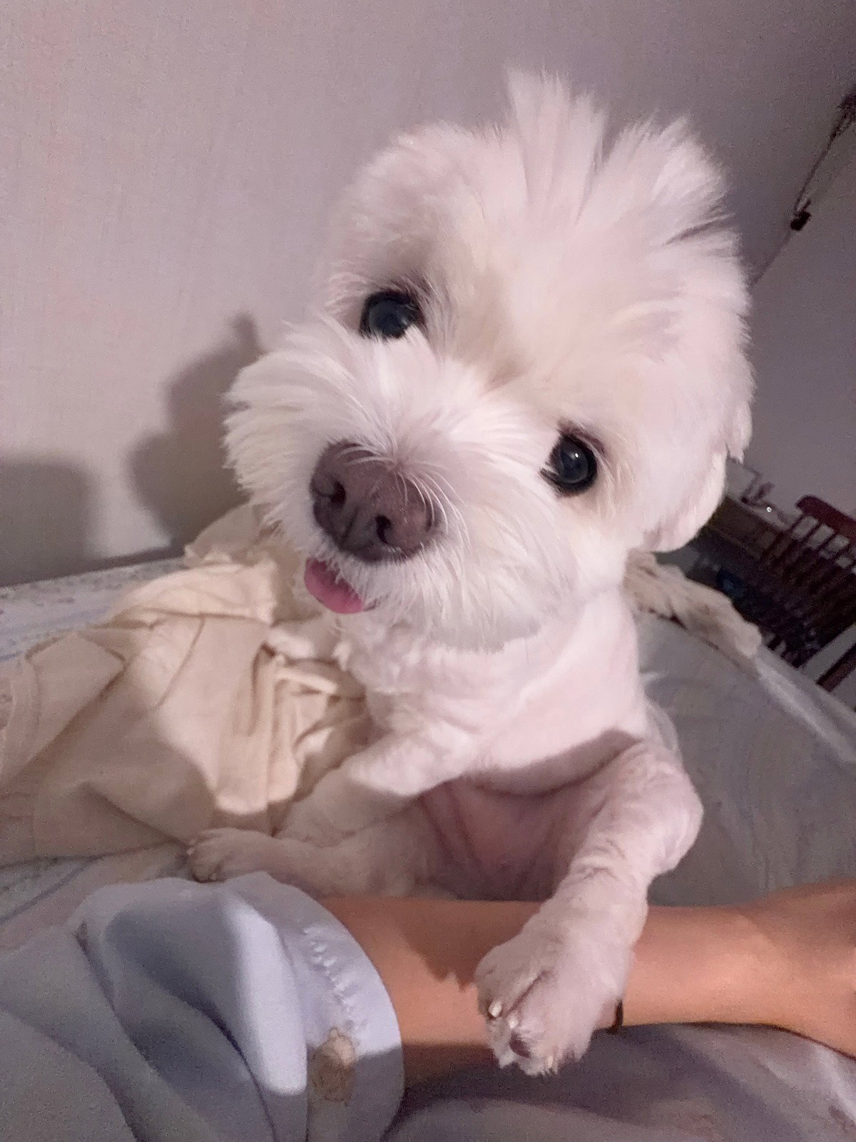 WNpeFF
