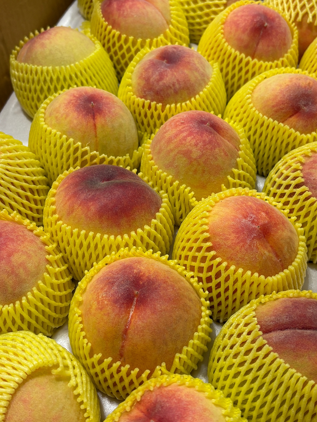 WNqLMe