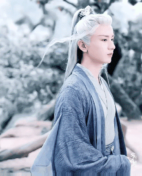WRCner.gif