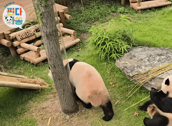 WSZHIx.gif