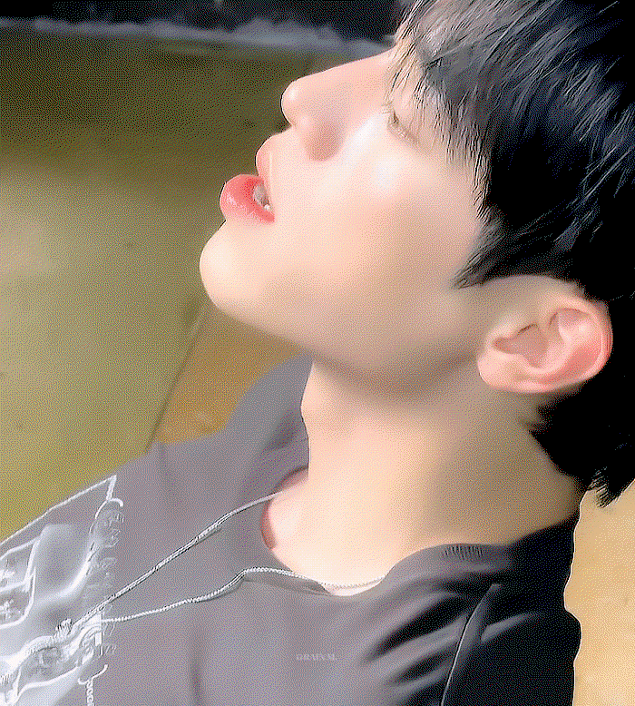 WSekwO.gif