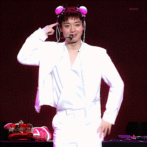 WSvJwH.gif