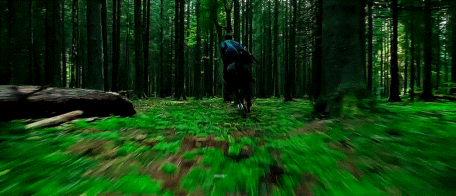 WSxGvs.gif