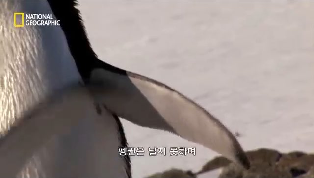 WTGnuM