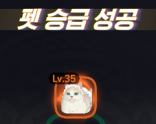 WVIiXW