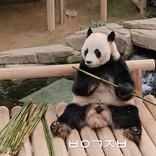 WXSONu.gif
