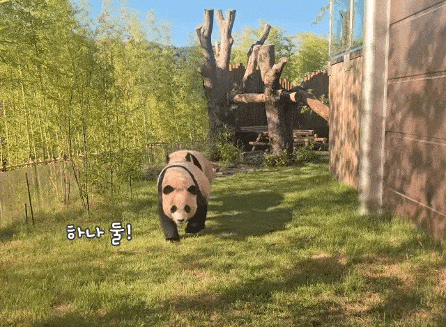 WYHkIQ.gif