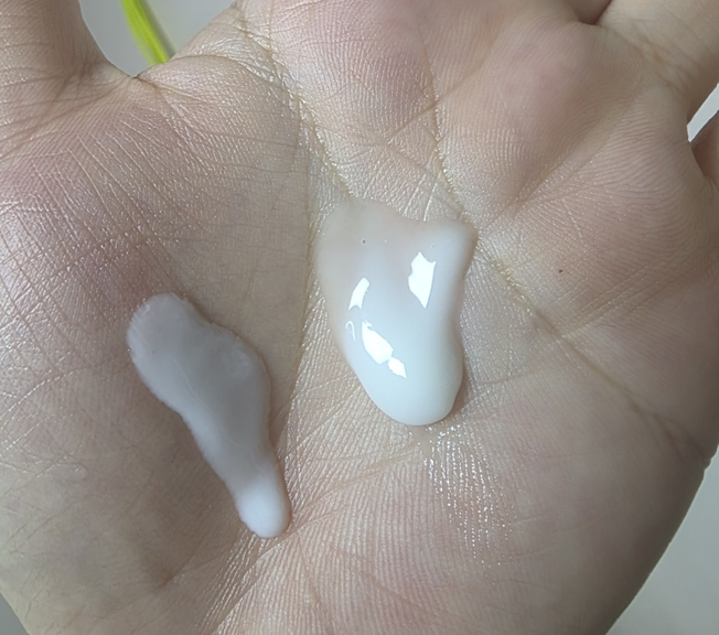 WZUTOH
