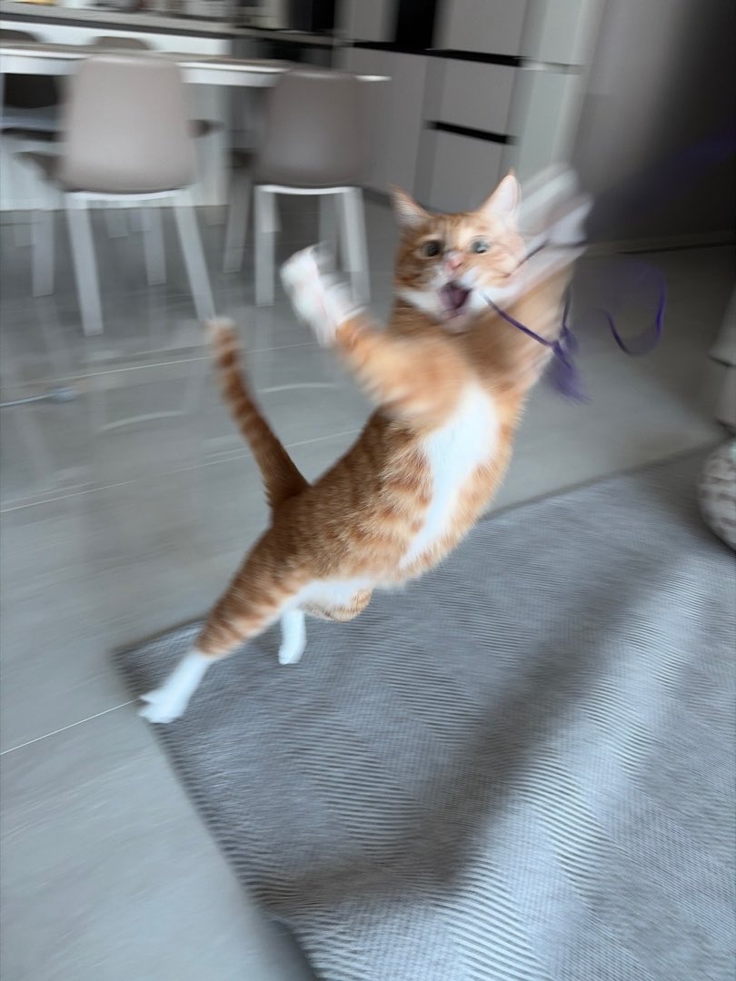 WZthdb
