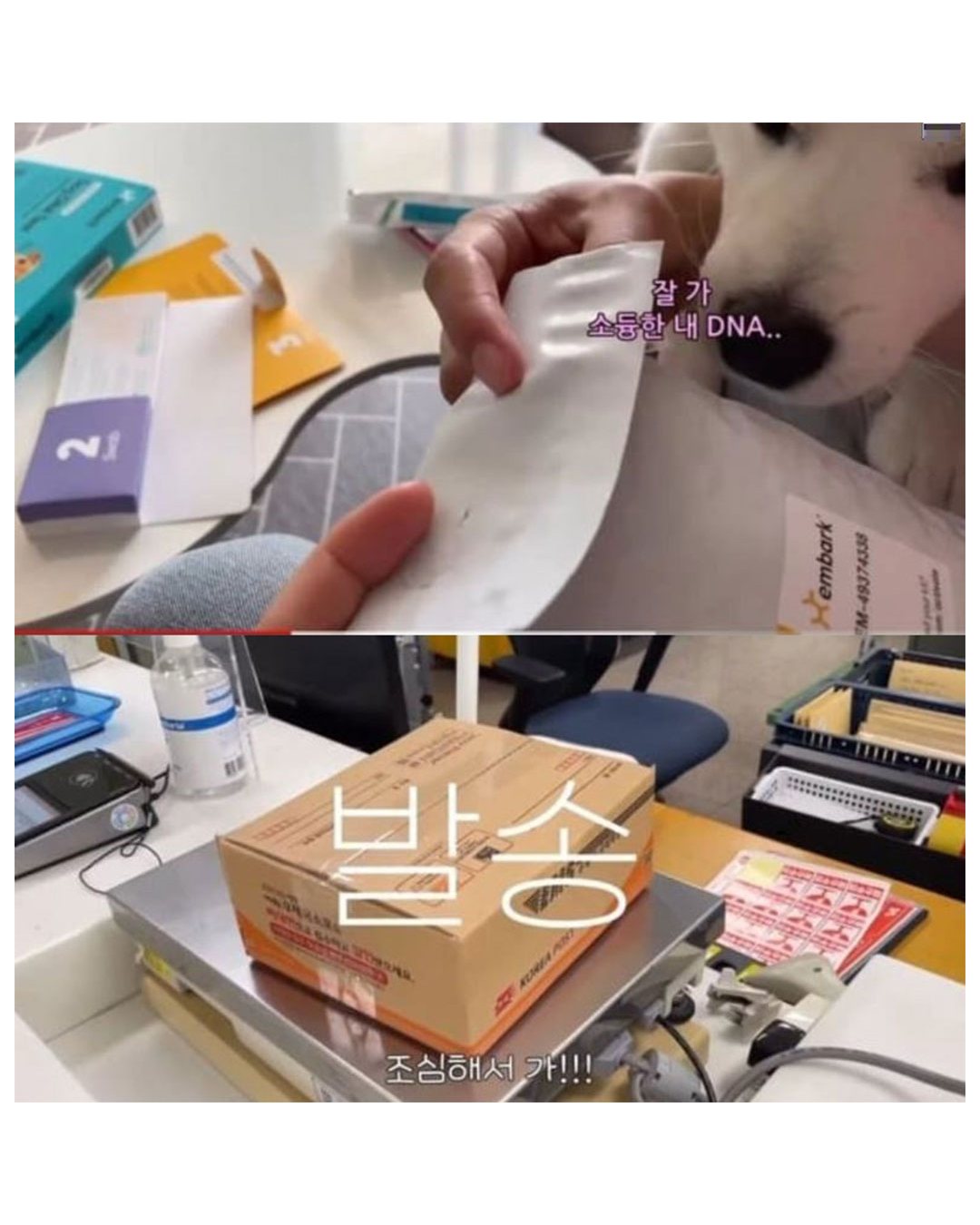 WbyOqa
