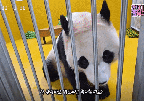 WeSJbc.gif