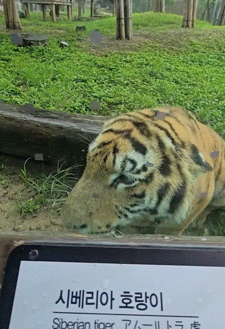WfiTwN.gif