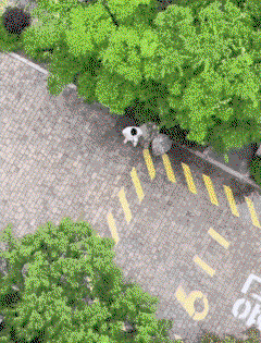 WiBqsZ.gif