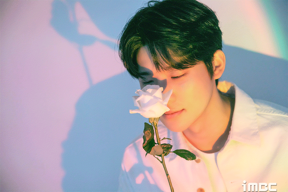 WjQwxA.gif