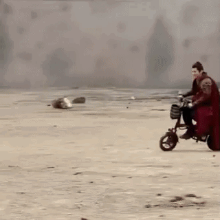 WjXSAf.gif