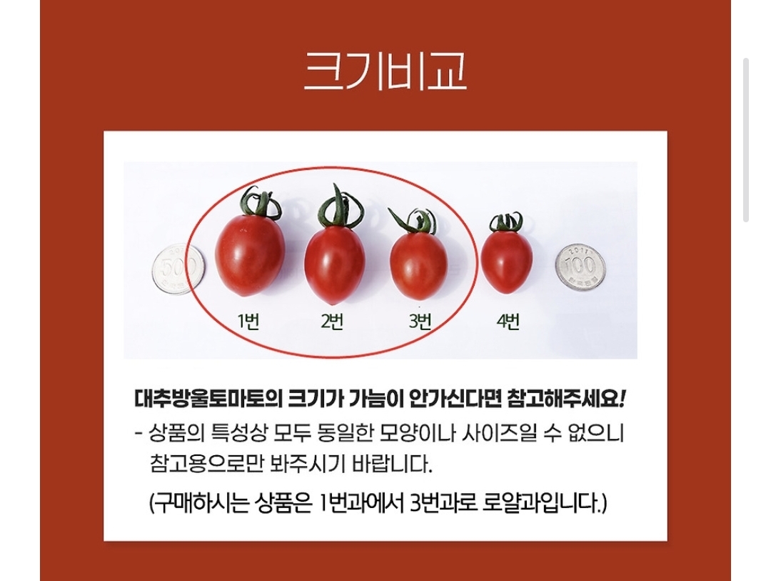 WkCDoT