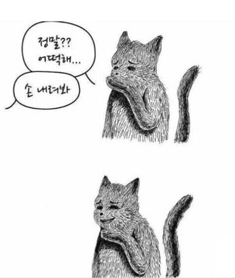 WkHewD