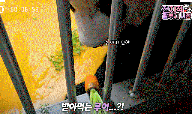 WnVqDu.gif