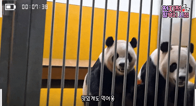 WojoXr.gif
