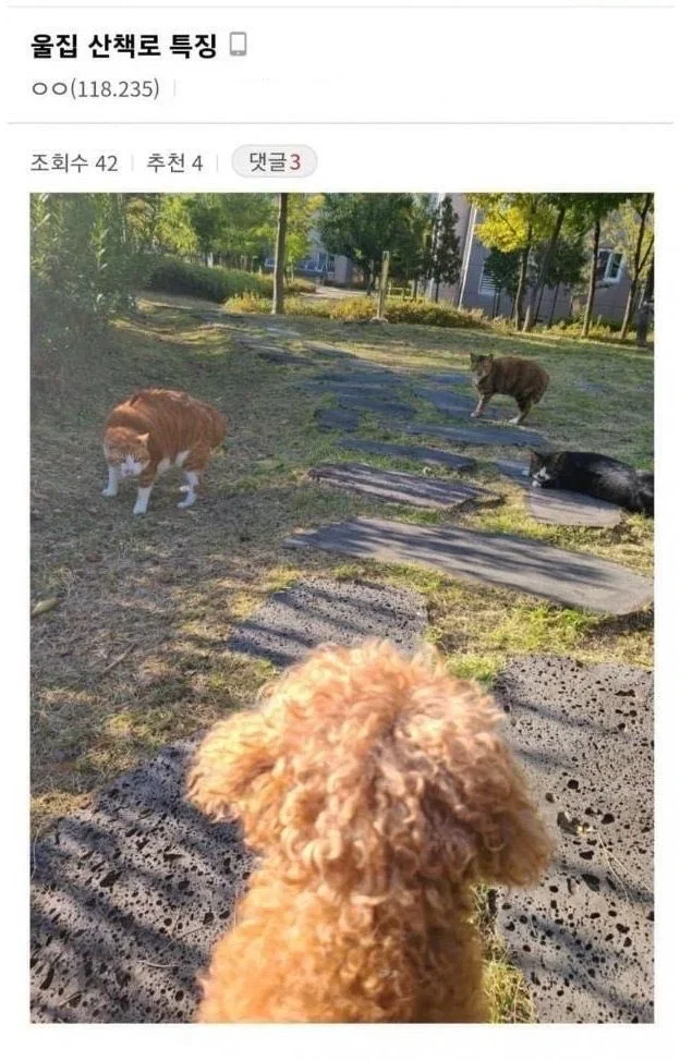WpBwVL