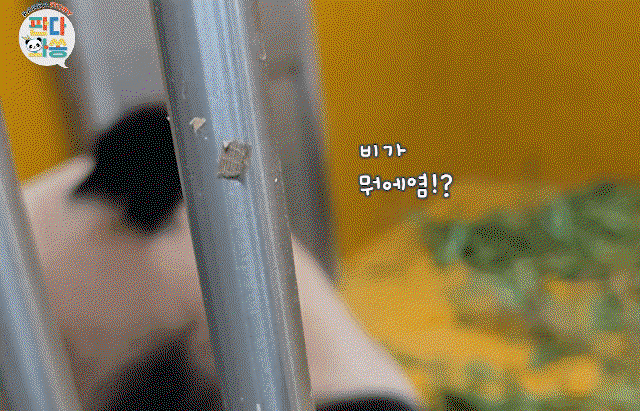 WqtkyP.gif