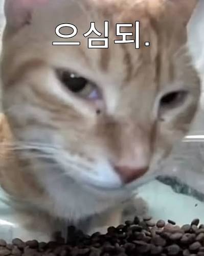 WredTe