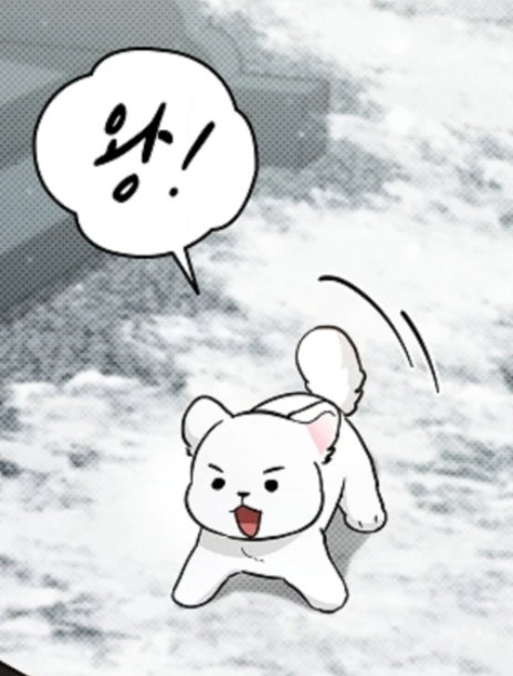 WrrRwB.jpg