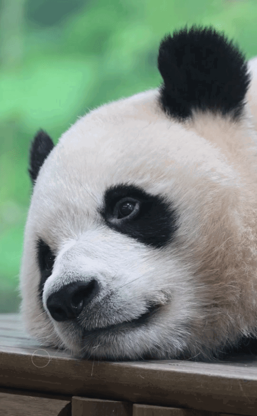WtsuUE.gif