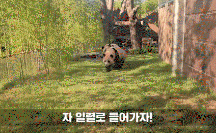 XDvKva.gif