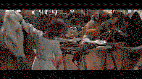 XEdozD.gif