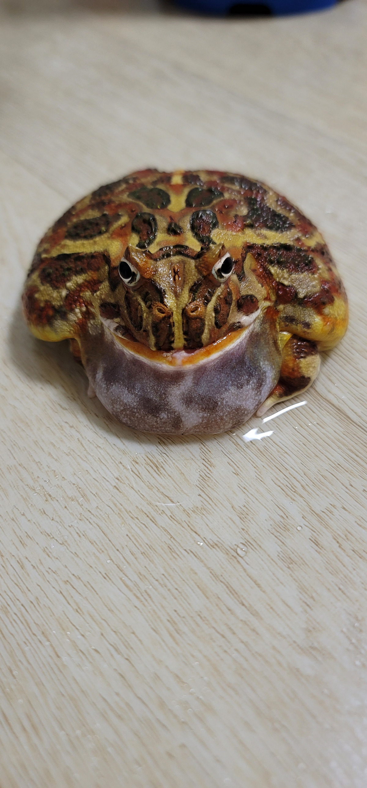 XFcUtc
