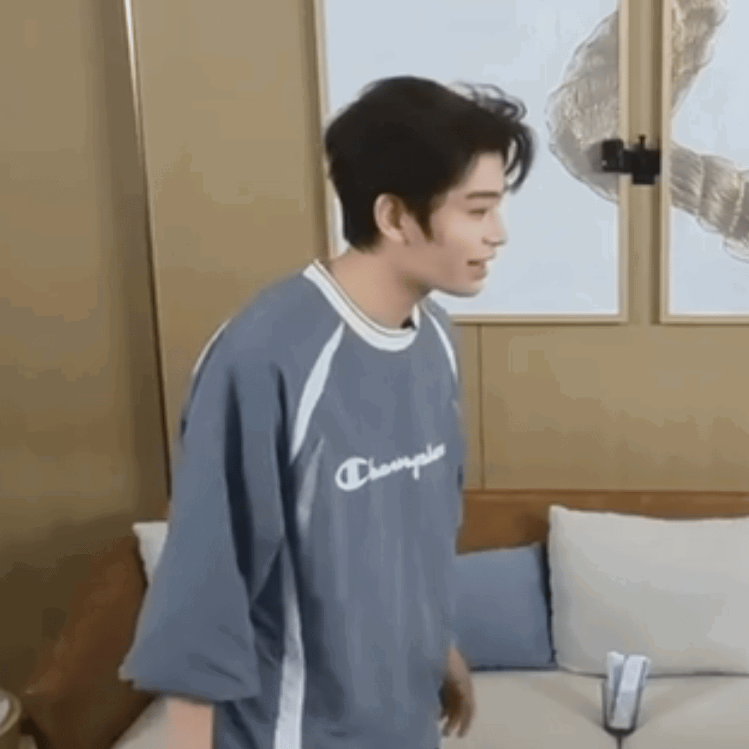 XGgSNE.gif