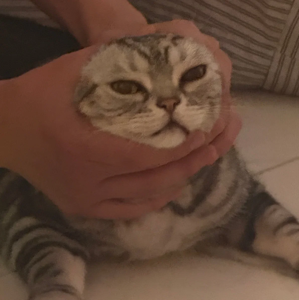 XHCXVn