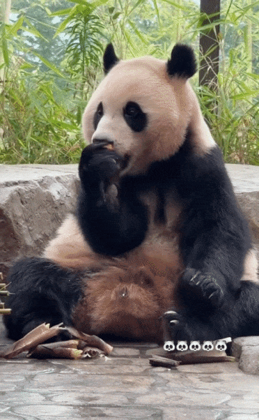 XIlTer.gif