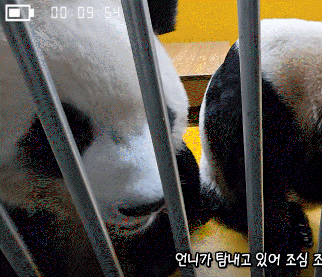 XIusdA.gif
