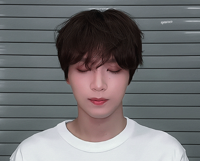XJzWOt.gif