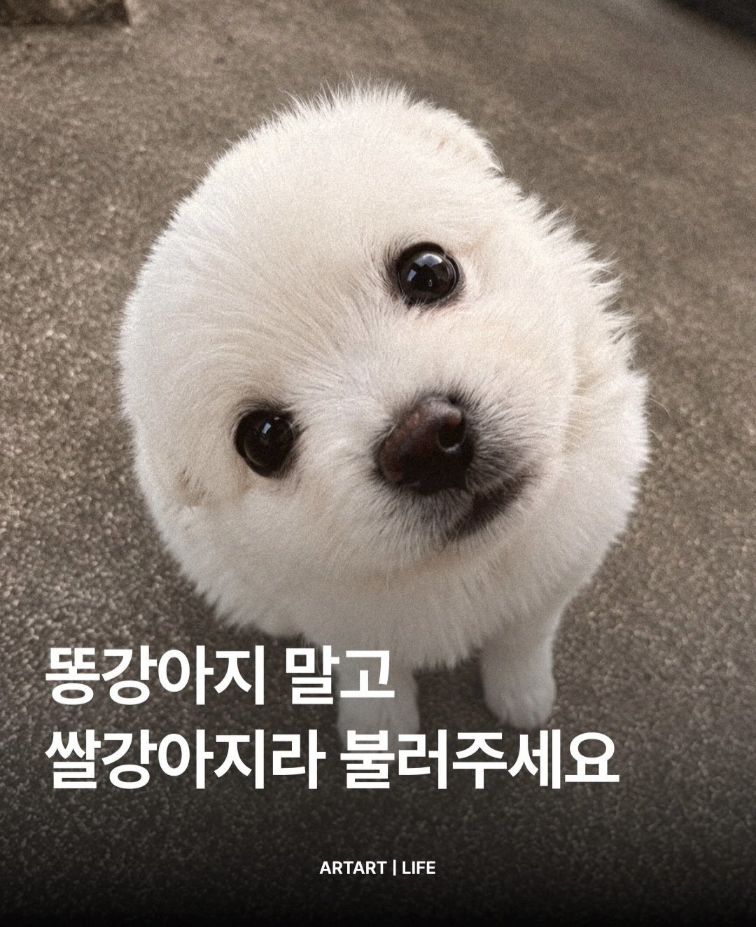 XPyPiu