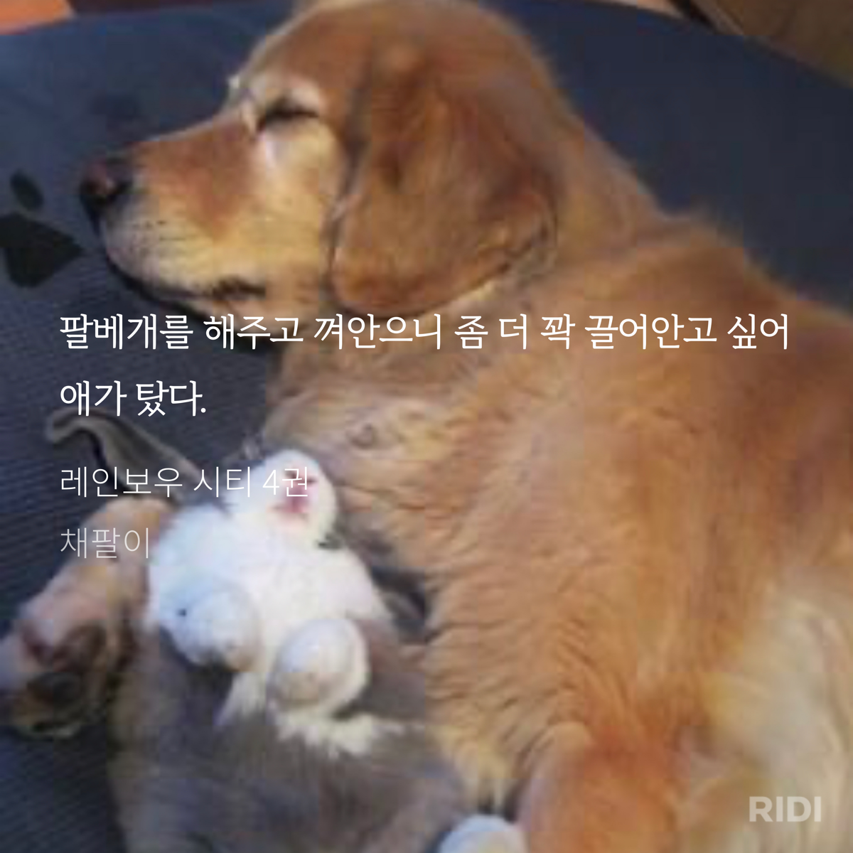 XQkKiQ