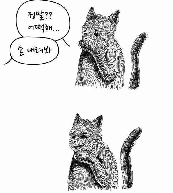 XRVqQK