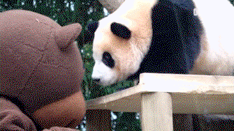 XRwnlt.gif