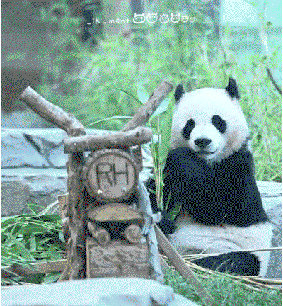 XSZhRK.gif