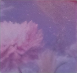 XTGSdN