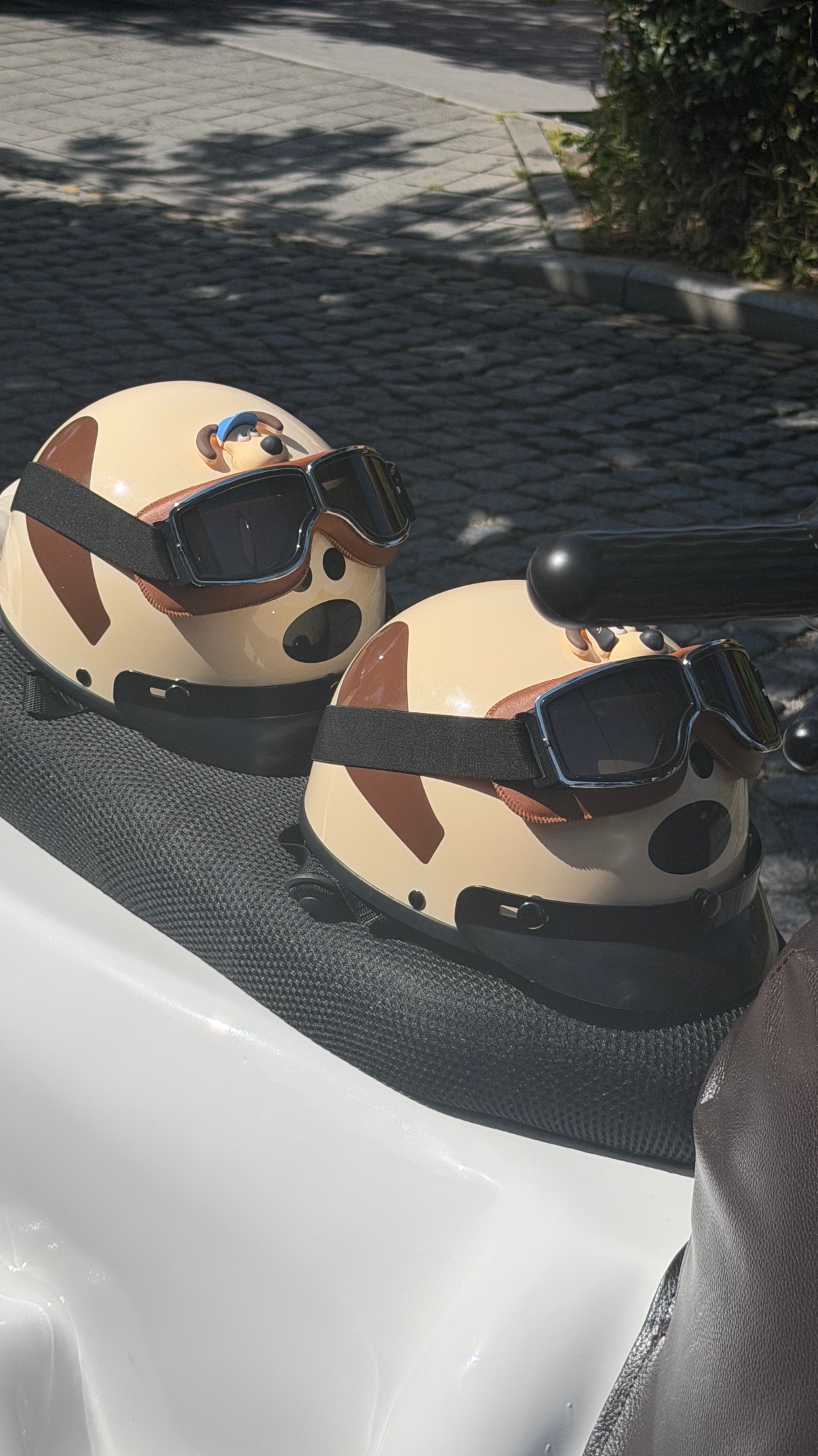 XTQiPO