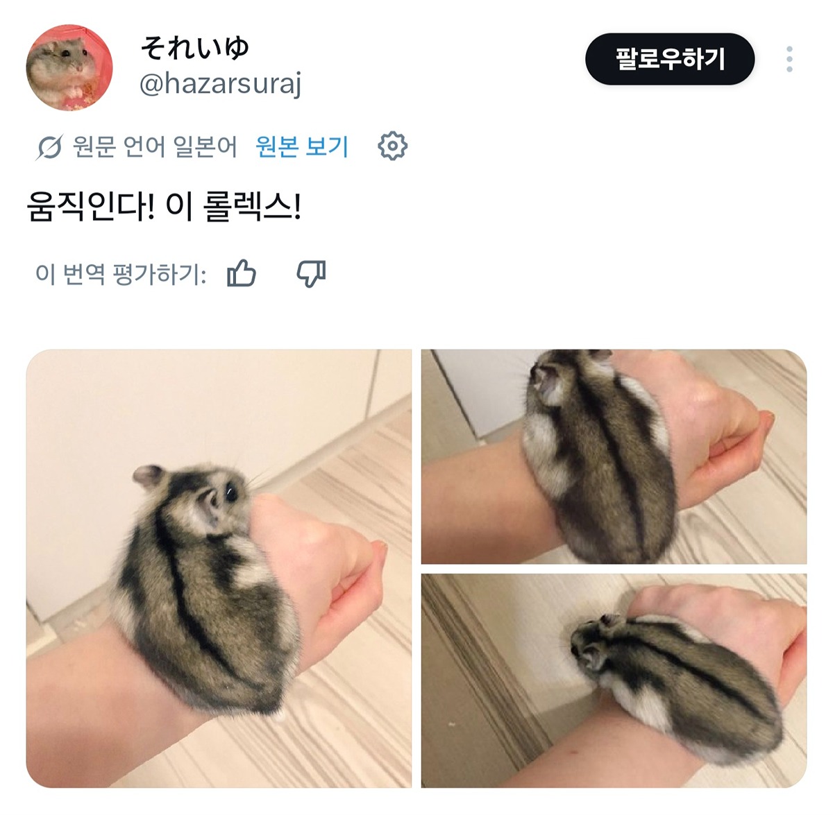 XUglgp