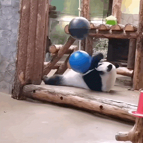 XVDFVu.gif