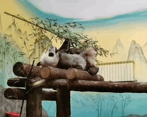 XarEsw.gif