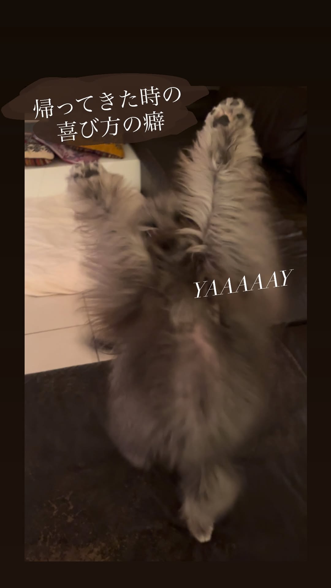 XbtCMB